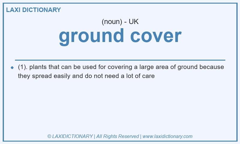 Definition ground cover in British English