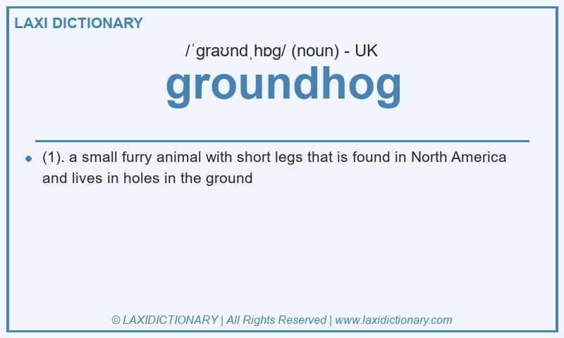 Definition groundhog in British English