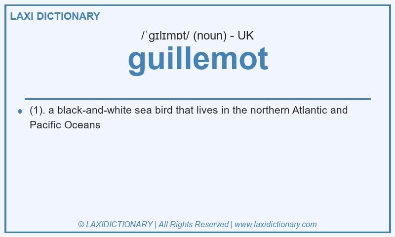 Definition guillemot in British English