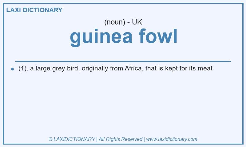 Definition guinea fowl in British English