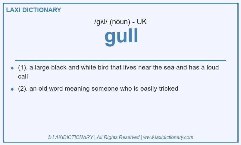 Definition gull in British English