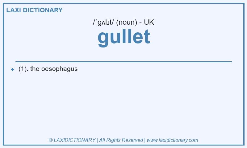 Definition gullet in British English