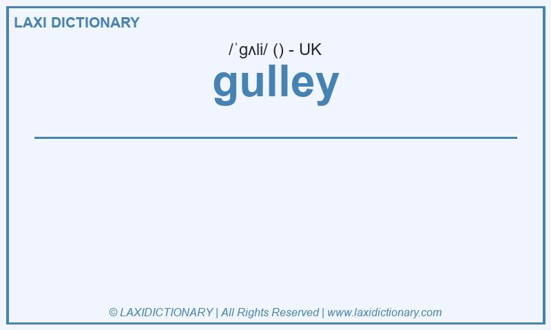 Definition gulley in British English