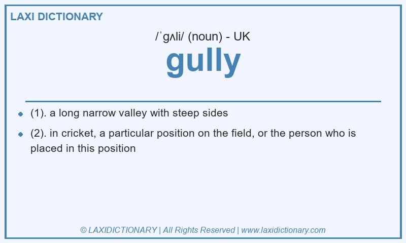 Definition gully in British English