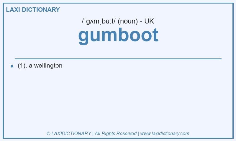 Definition gumboot in British English