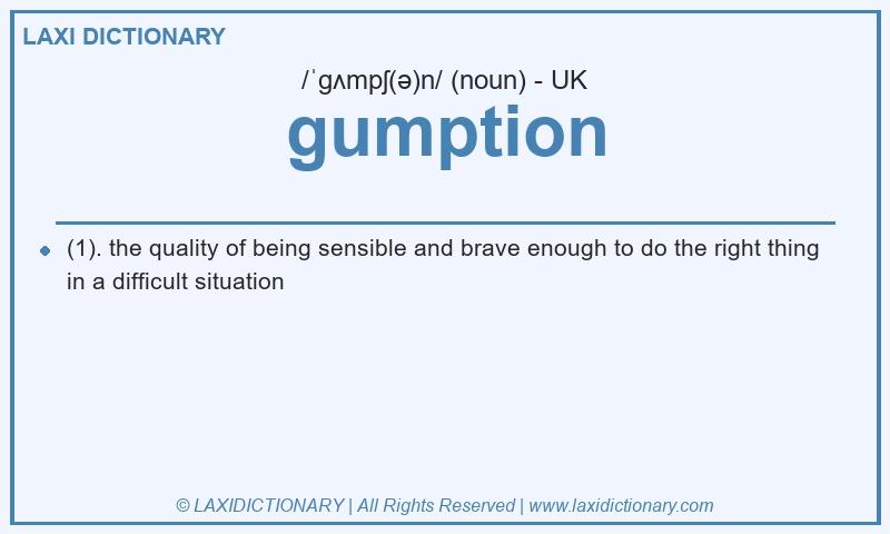 Definition gumption in British English