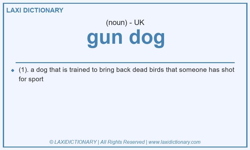 Definition gun dog in British English