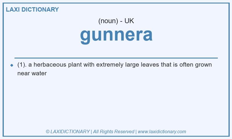 Definition gunnera in British English