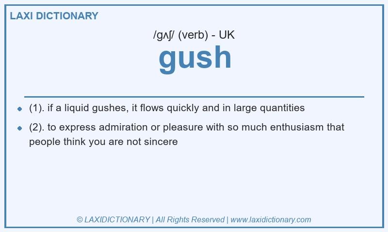 Definition gush in British English