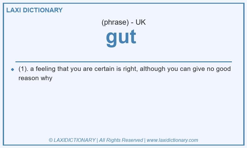 Definition gut  in British English