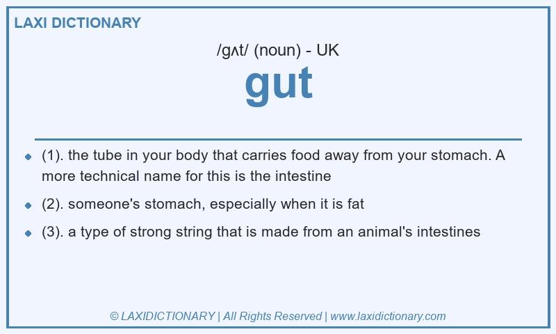 Definition gut in British English