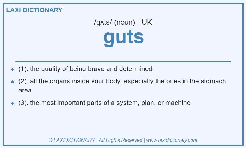 Definition guts in British English