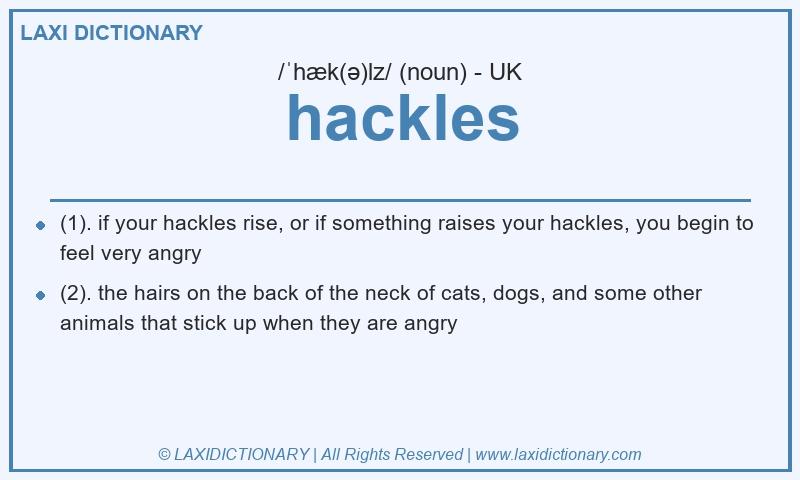 Definition hackles in British English