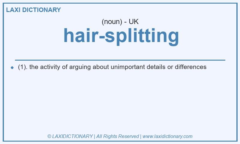 Definition hair-splitting in British English