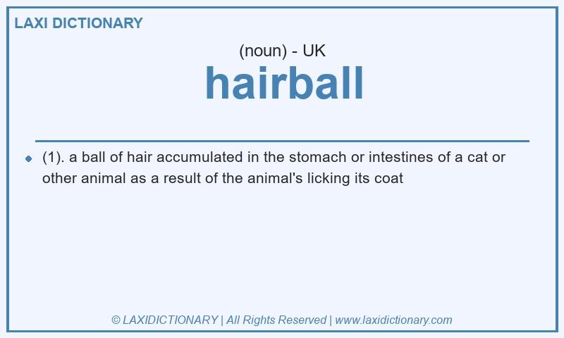 Definition hairball in British English