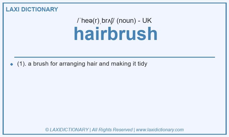 Definition hairbrush in British English