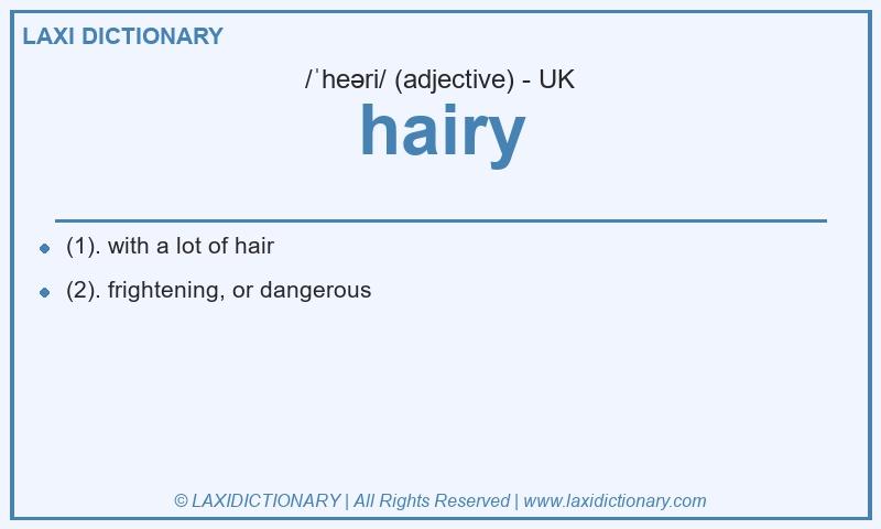 Definition hairy in British English