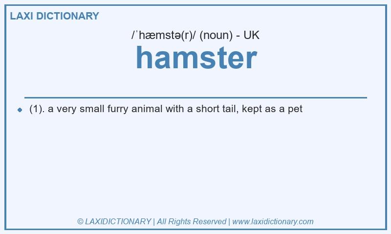 Definition hamster in British English