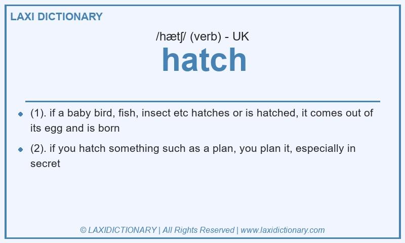 Definition hatch in British English