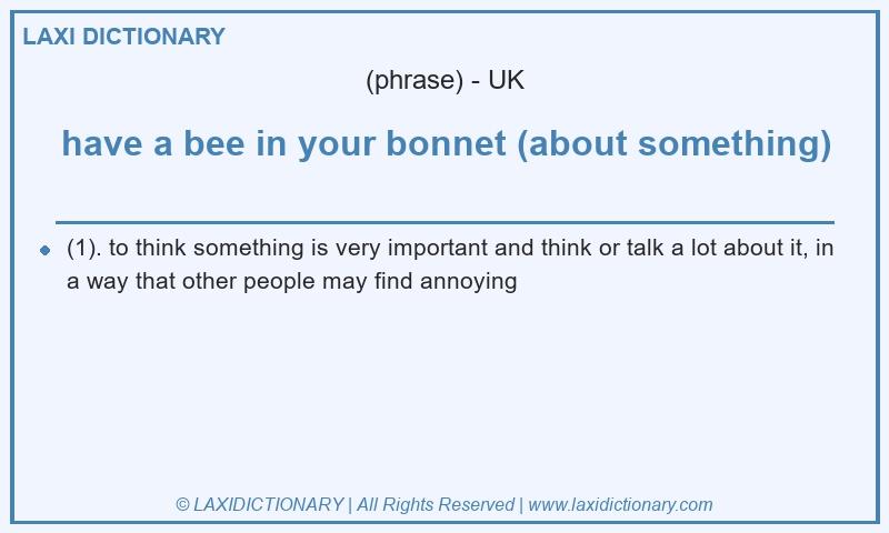 Definition have a bee in your bonnet (about something) in British English