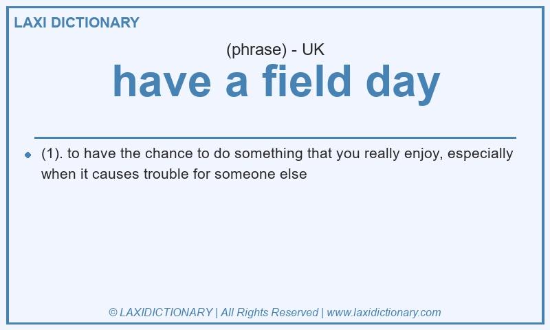 Definition have a field day in British English