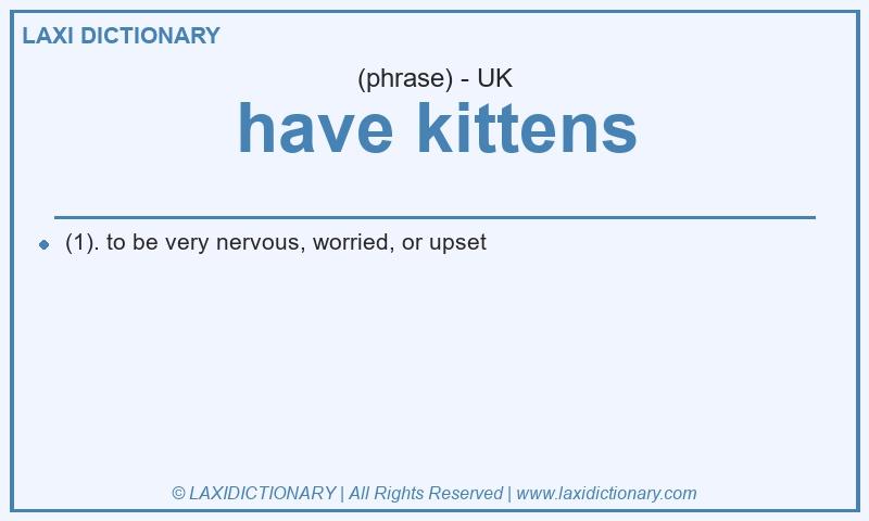 Definition have kittens in British English