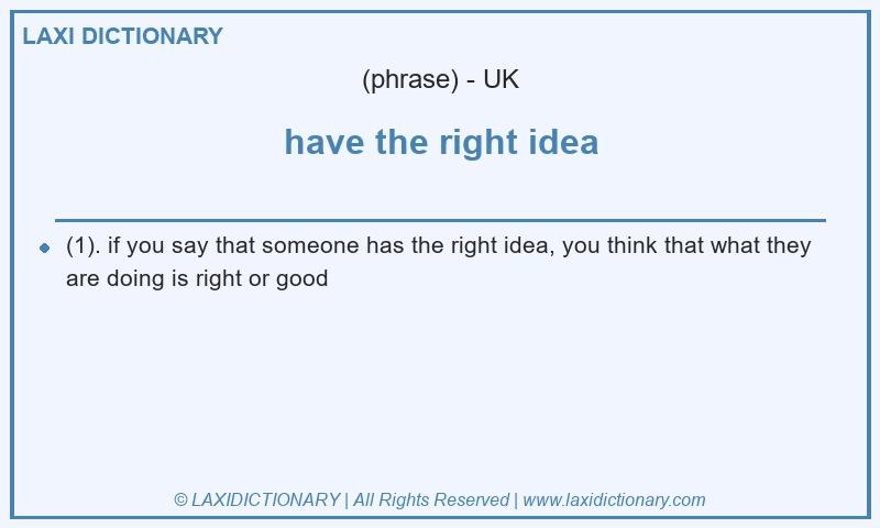 Definition have the right idea in British English