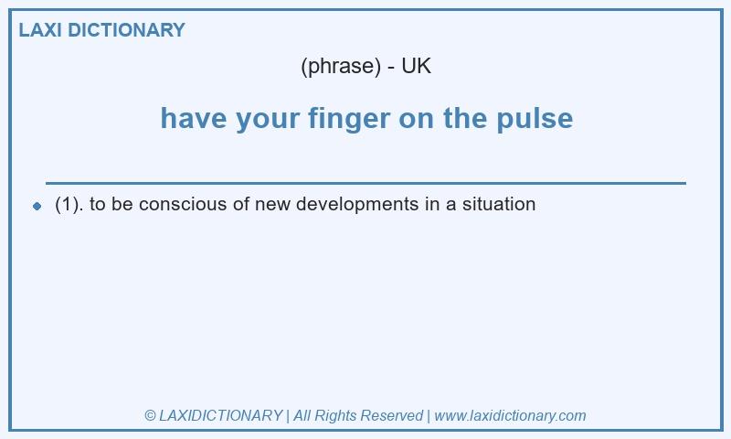 Definition have your finger on the pulse in British English
