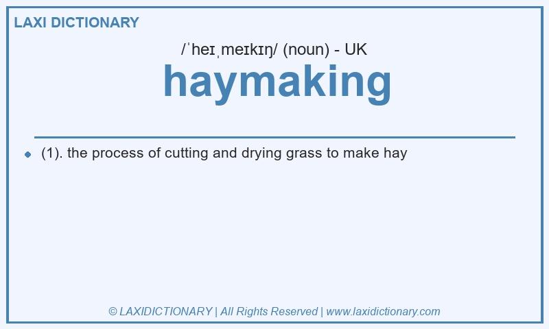Definition haymaking in British English