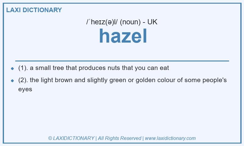 Definition hazel in British English