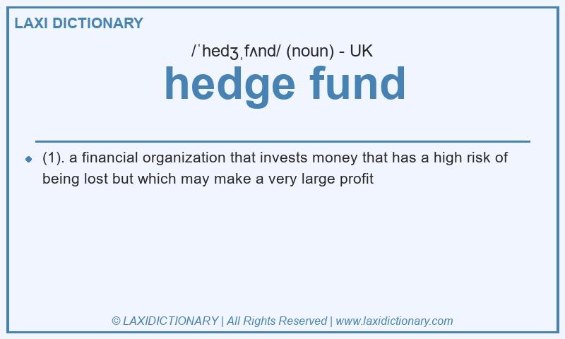 Definition hedge fund in British English