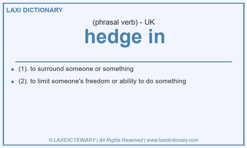 Definition hedge in in British English