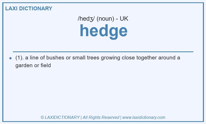 Definition hedge in British English