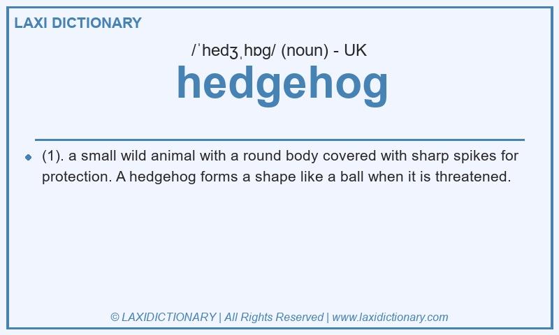 Definition hedgehog in British English
