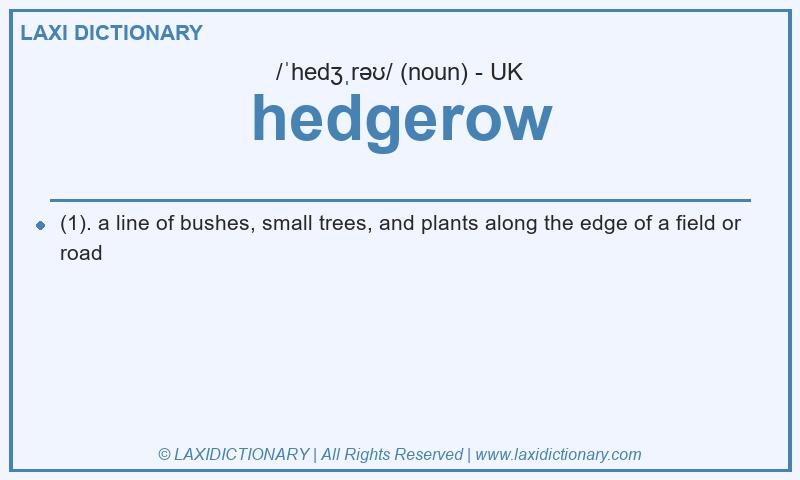 Definition hedgerow in British English