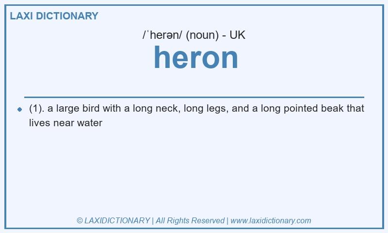 Definition heron in British English