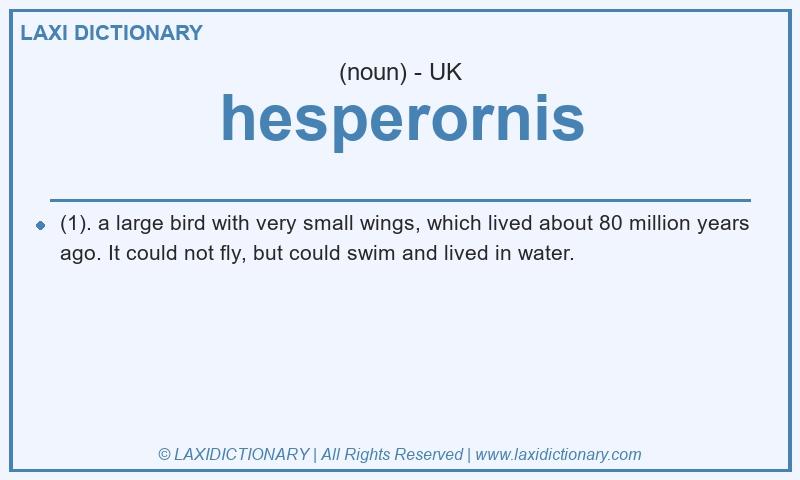 Definition hesperornis in British English