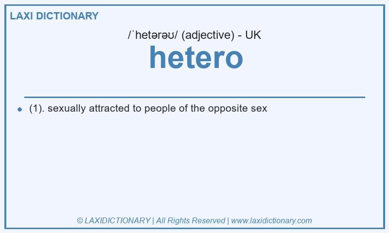 Definition hetero in British English