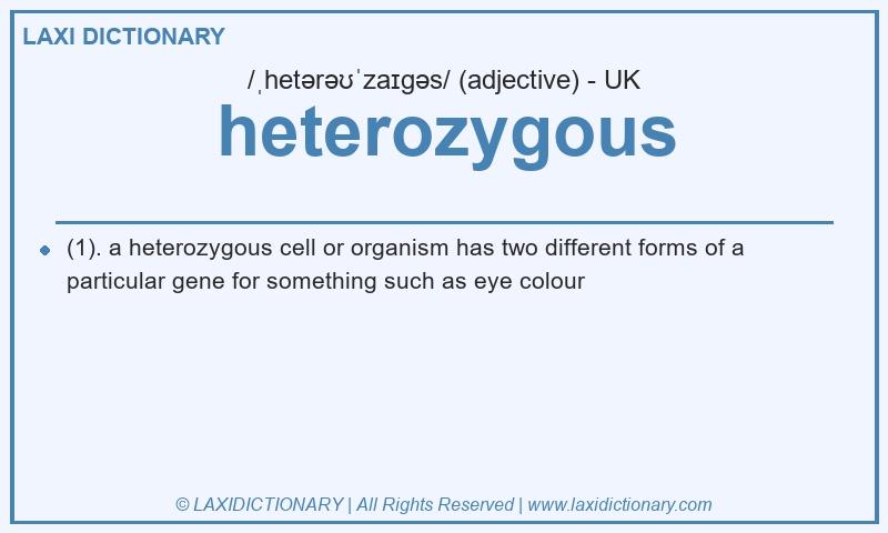Definition heterozygous in British English