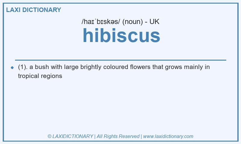 Definition hibiscus in British English