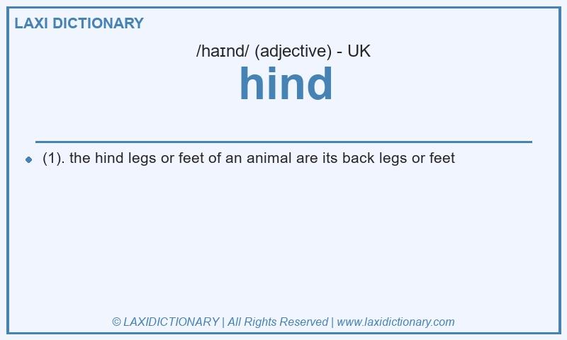 Definition hind in British English