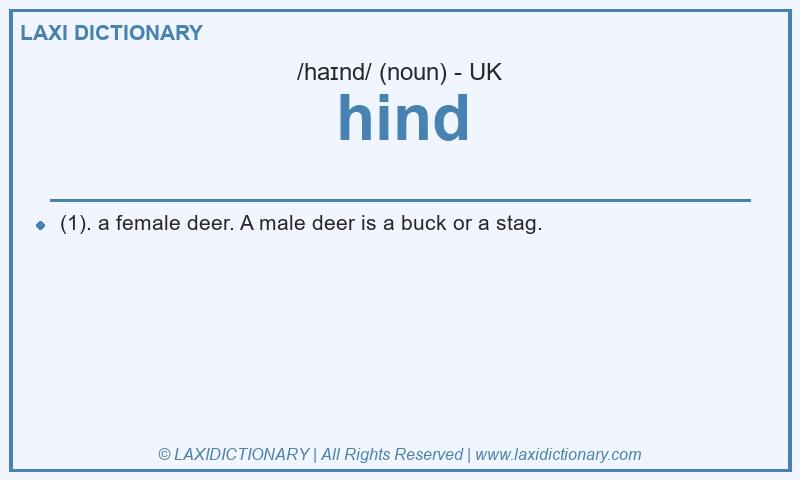 Definition hind in British English