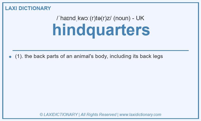 Definition hindquarters in British English