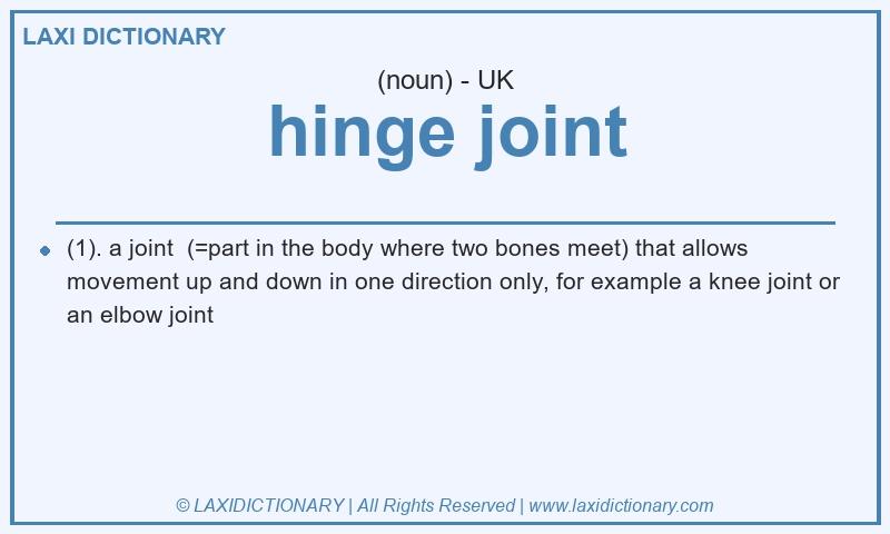 Definition hinge joint in British English
