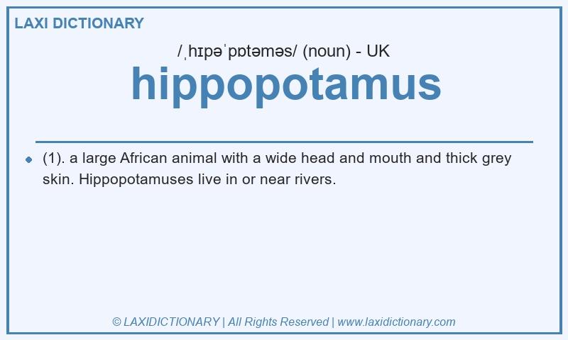 Definition hippopotamus in British English