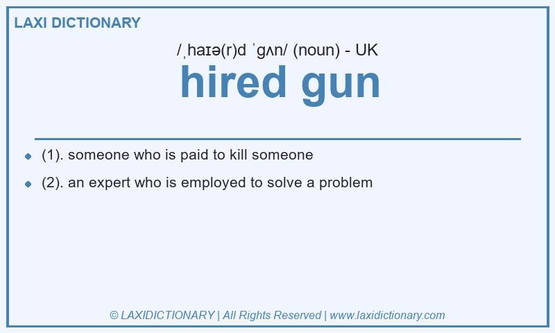 Definition hired gun in British English