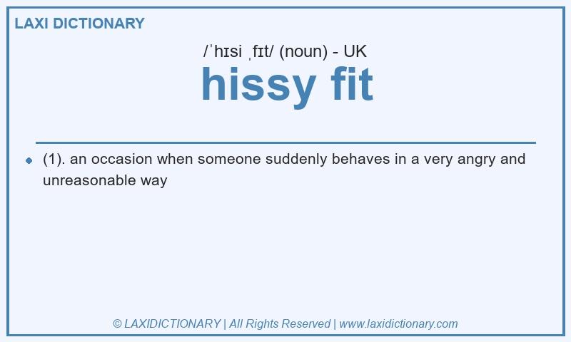 Definition hissy fit in British English