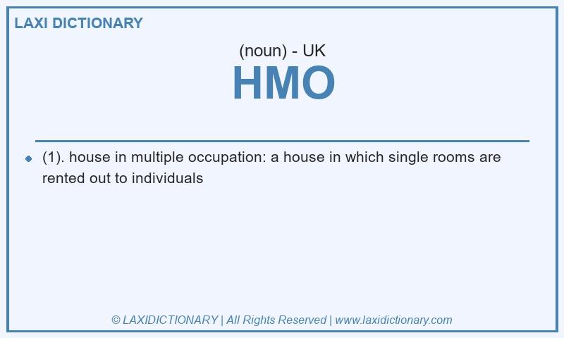 Definition HMO in British English