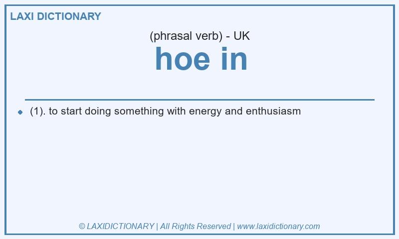 Definition hoe in in British English