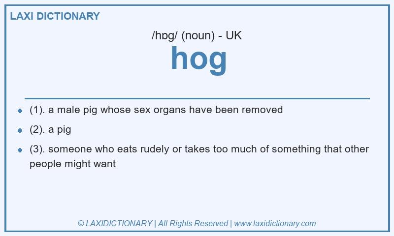 Definition hog in British English